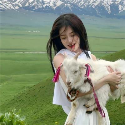 我的爸爸是森林之王2
